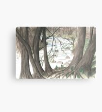 Hidden Stream Metal Print