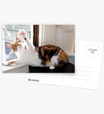 Checking Her Nails Postcards