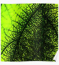 Green Mosaic by FreddiJr Poster