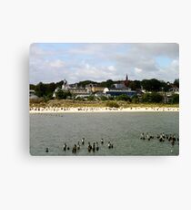 At noon on the lake Canvas Print