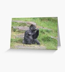 Gorilla Eating A Carrot Greeting Card