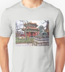 Temple, Beijing, China Unisex T-Shirt