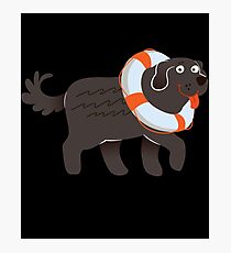 Big And Cute Newfoundland Photographic Print
