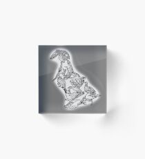 Anseriformes - Ducks - Evolution Acrylic Block