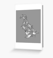 Anseriformes - Ducks - Evolution - Birds Greeting Card