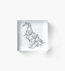 Anseriformes - Black and White - Ducks - Birds - Evolution Acrylic Block