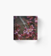 Blooms by TheArtofJoyCo Acrylic Block
