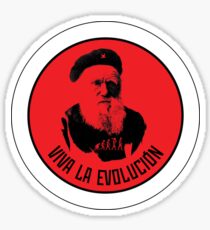 evolution Sticker