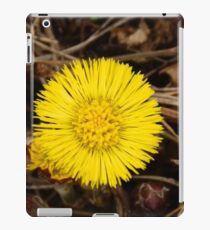 New day iPad Case/Skin