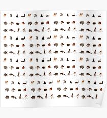 Australian animals print Poster