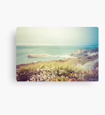 Pacific Coast California Metal Print