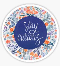Stay Curious – Navy & Coral Sticker