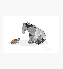 Tapir and Turtle, Cute Animal Illustration, Black and White with Copper Metallic Accent Funny Turtle Cartoon Photographic Print