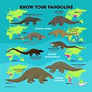 KNOW YOUR species by PepomintNarwhal | Redbubble