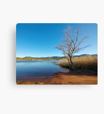 Earth, water and sky Canvas Print