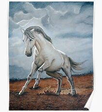 Mustang Dance Poster