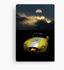 4670 Canvas Print