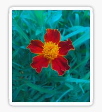 sunburst Sticker