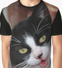 Cat in the Window Box Graphic T-Shirt