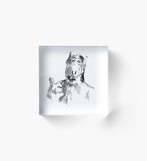 alf thumb up Acrylic Block