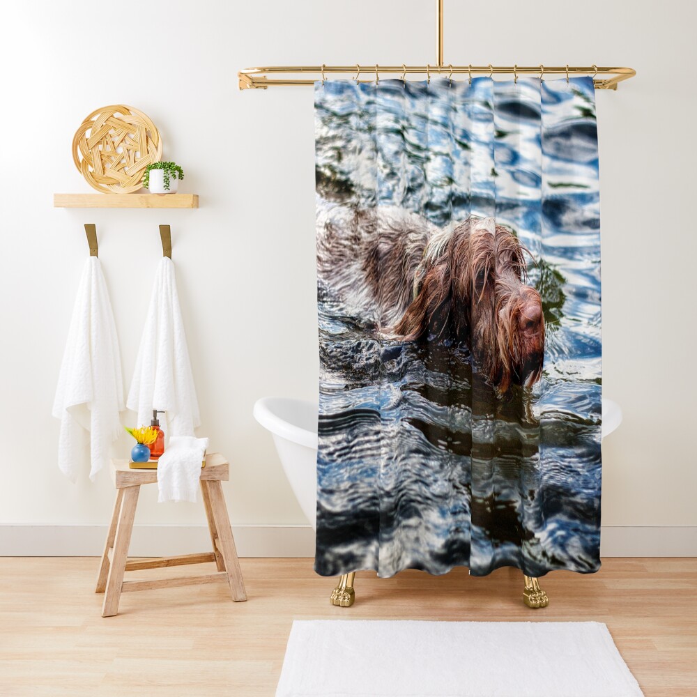 Brown Roan Italian Spinone Dog Swimming Shower Curtain