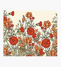 Vintage Garten 7 Fotodruck