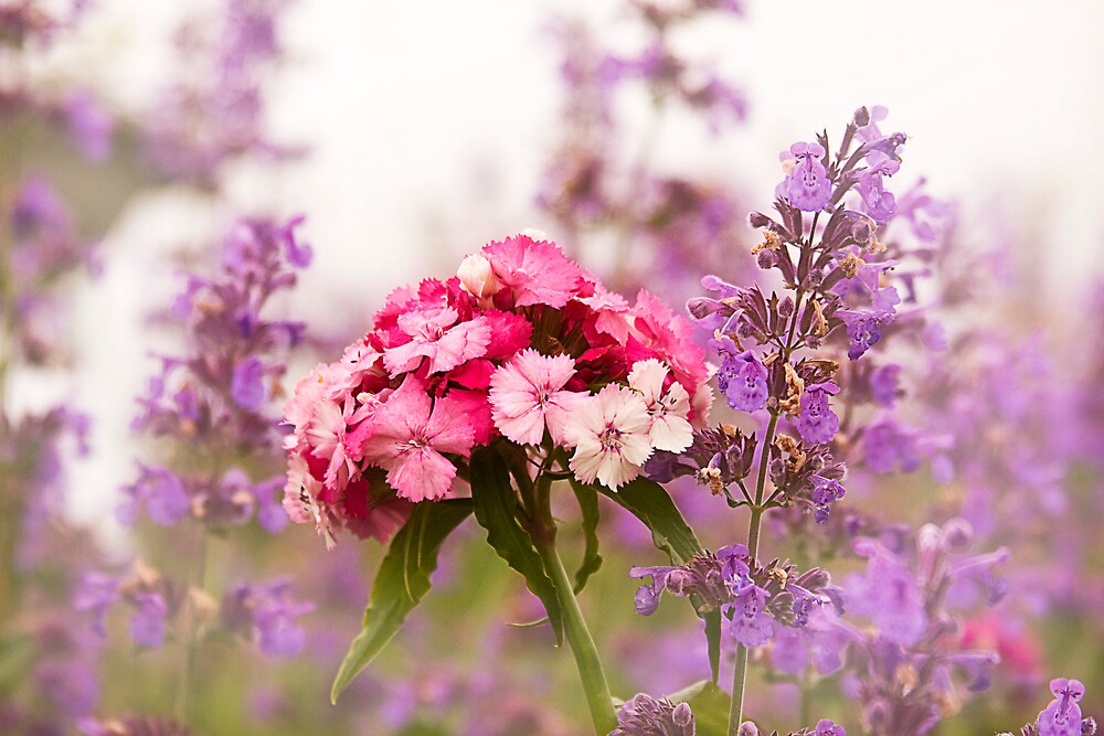 "Flowers in the Mist" by Trudy Wilkerson Redbubble