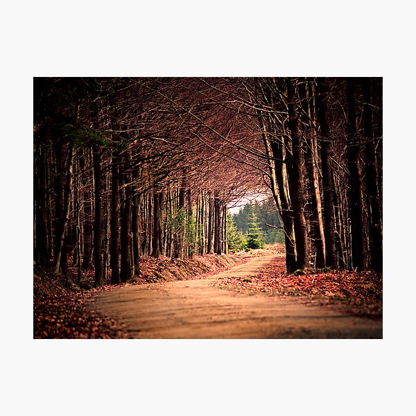 end of the road Photographic Print