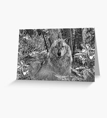 Assimilation Greeting Card