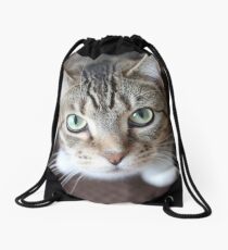 Sweet Cat looking up Drawstring Bag