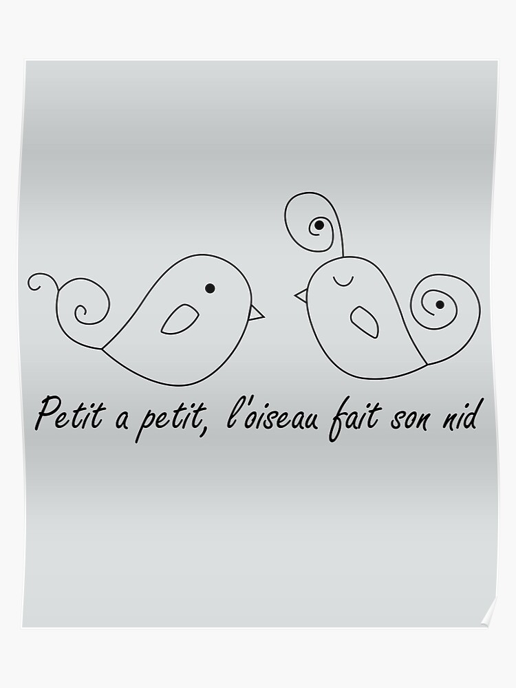 French Saying Gift For France Lovers Petit A Petit Poster