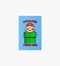 Funny Cat Cute Kawaii Mario Parody Art Board