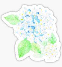 Hydrangea Sticker