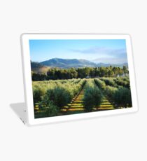 Winery Laptop Skin