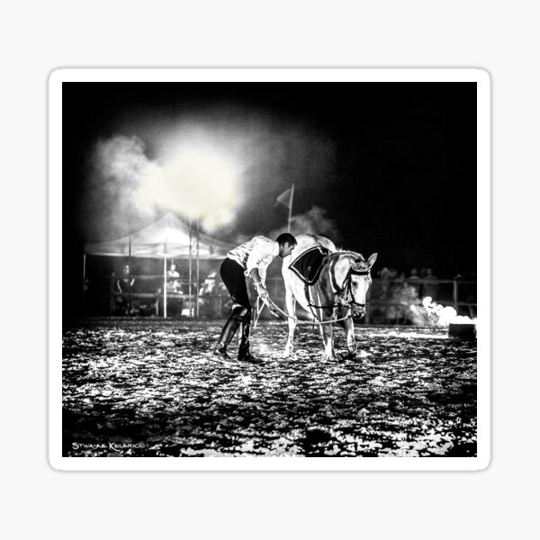 The Horse That Suffered Sticker