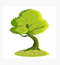 green tree Photographic Print