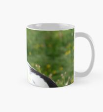 Male Eider Duck Mug