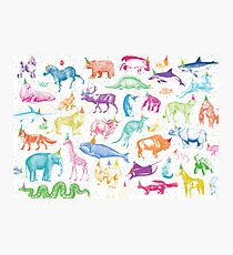 Party Animals Photographic Print