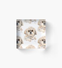 Unhappy Pooch Acrylic Block