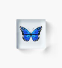 Blue butterfly Acrylic Block