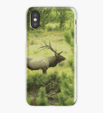 Bull Elk Illustration iPhone Case