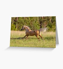 Amaki's Golden Imp Greeting Card