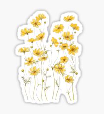 Yellow Cosmos Flowers Sticker