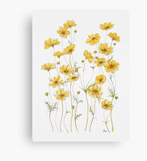 Yellow Cosmos Flowers Canvas Print