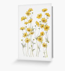 Yellow Cosmos Flowers Greeting Card