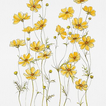 Artwork thumbnail, Yellow Cosmos Flowers by JRoseDesign