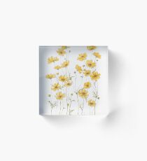 Yellow Cosmos Flowers Acrylic Block