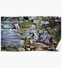 2016 Pittura Poster