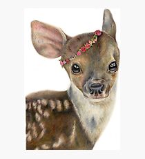 Spring Fawn Photographic Print
