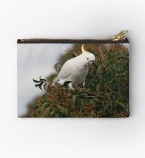 Sulphur Crested Cockatoo Studio Pouch